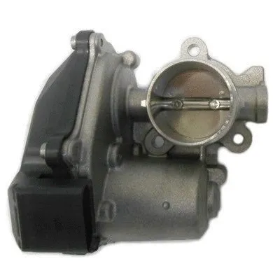 EGR Valve (WG1408761)