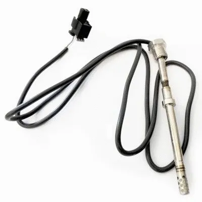 Sensor, exhaust gas temperature (WG1015070)