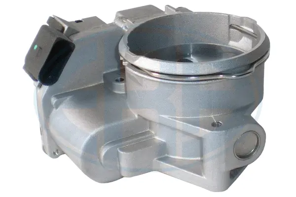 Throttle Body (WG1796574)