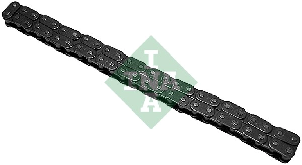 Timing Chain (WG1725214)