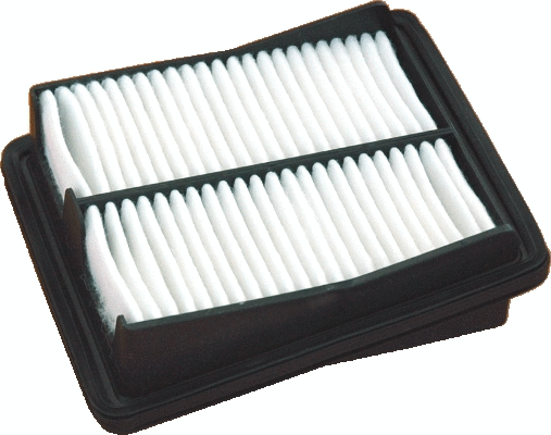 Air Filter (WG1747528)