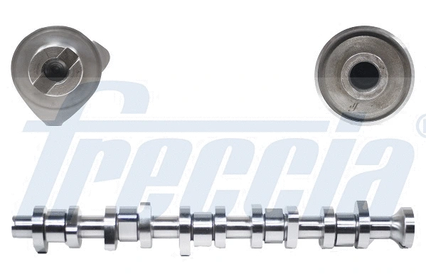 Camshaft (WG1155342)