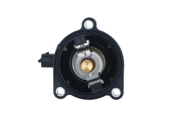 Thermostat, coolant (WG2184651)