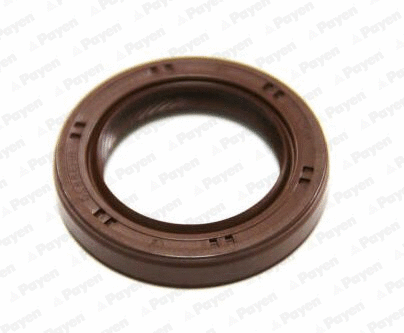 Shaft Seal, crankshaft (WG1183234)