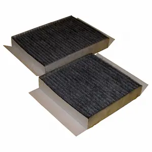 Filter, cabin air (WG1774666)