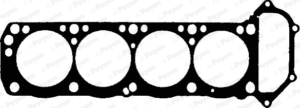 Gasket, cylinder head (WG1090203)