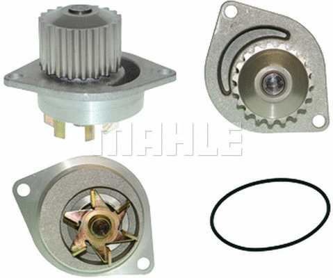 Water Pump, engine cooling (WG2181888)