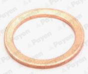 Seal Ring, oil drain plug (WG1182916)