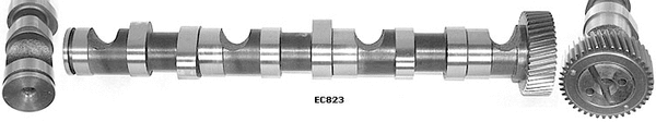 Camshaft (WG1051681)