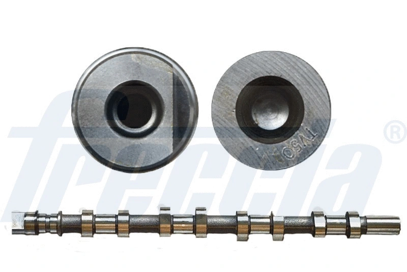 Camshaft (WG1155381)