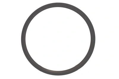 Shaft Seal, differential (WG1223236)