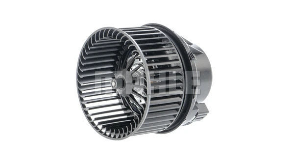 Interior Blower