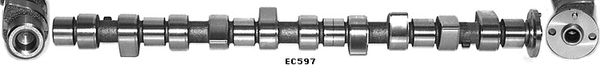 Camshaft (WG1051538)