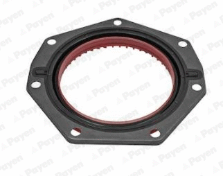 Shaft Seal, crankshaft (WG1177405)