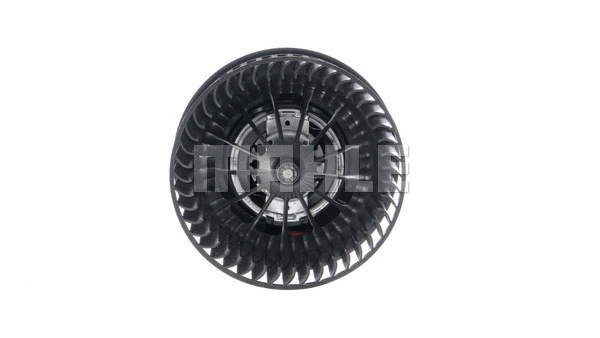 Interior Blower