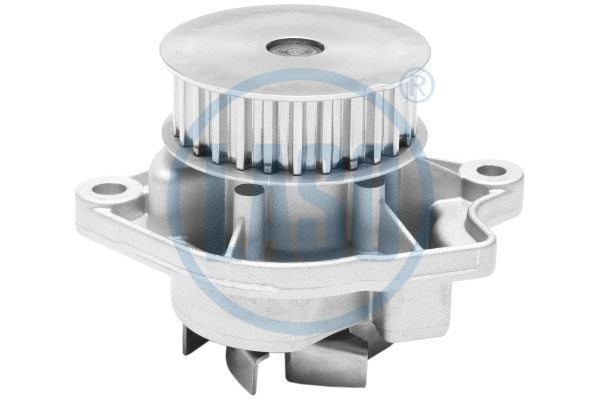 Water Pump, engine cooling (WG1709904)