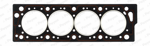 Gasket, cylinder head (WG1090172)