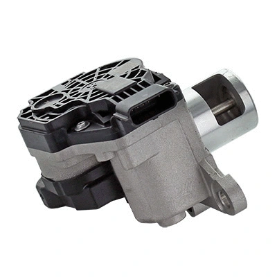 EGR Valve (WG1965245)
