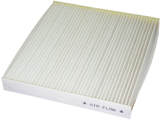 Filter, cabin air (WG1747102)