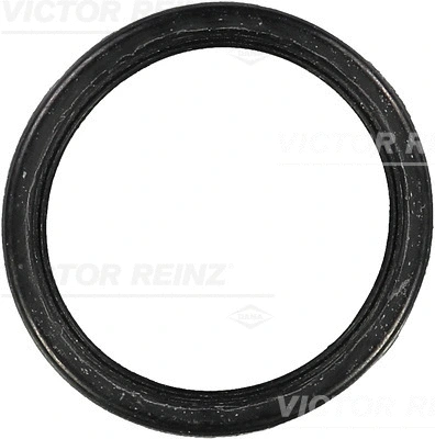 Gasket, intake manifold (WG1246602)