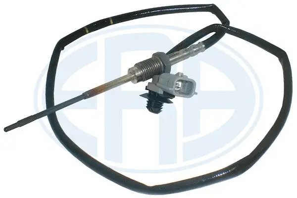 Sensor, exhaust gas temperature (WG1494271)