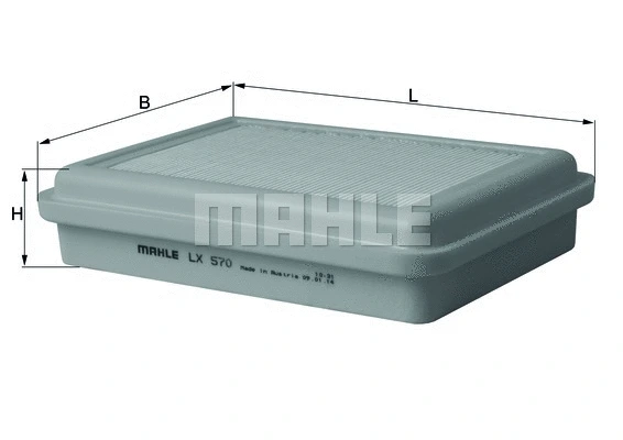 Air Filter (WG1216610)