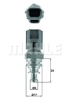 Sensor, coolant temperature (WG1789671)