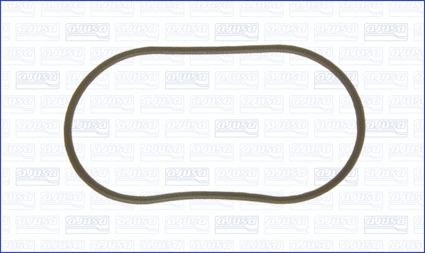 Gasket, vacuum pump (WG1446932)