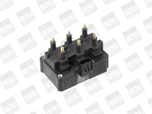 Ignition Coil (WG1487490)