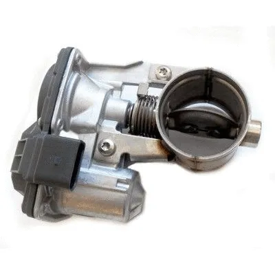 Exhaust Gas Door (WG1749380)
