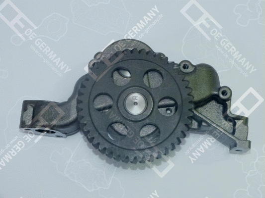Oil Pump (WG1484928)