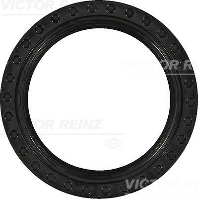 Shaft Seal, crankshaft (WG1250099)
