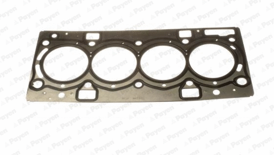 Gasket, cylinder head (WG2046440)