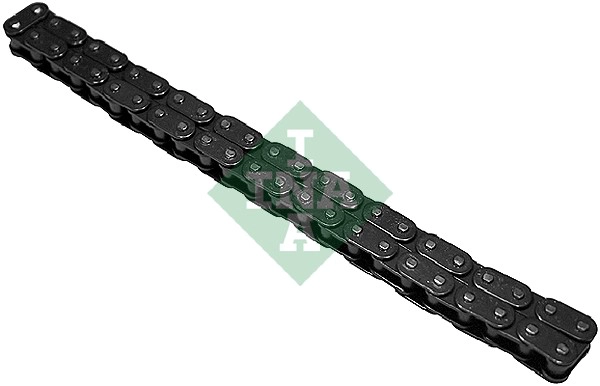 Timing Chain (WG1725344)