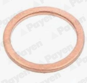 Seal Ring, oil drain plug (WG1184613)
