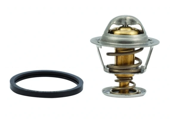 Thermostat, coolant (WG1409249)