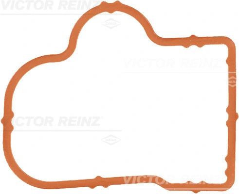 Gasket, intake manifold (WG1247850)