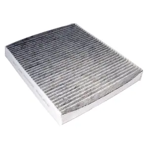 Filter, cabin air (WG1774769)