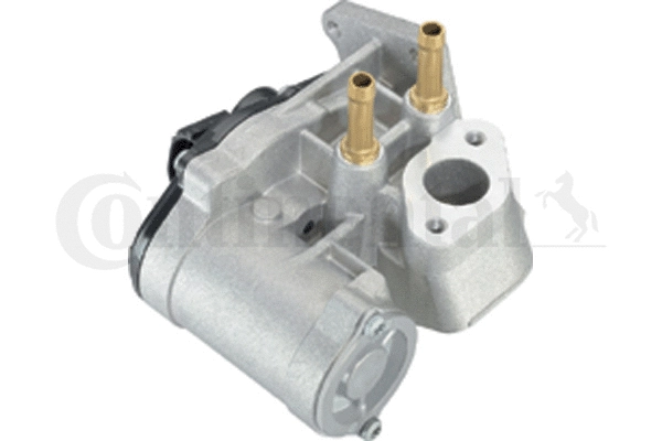 EGR Valve (WG1032672)