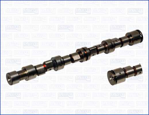 Camshaft (WG1170789)