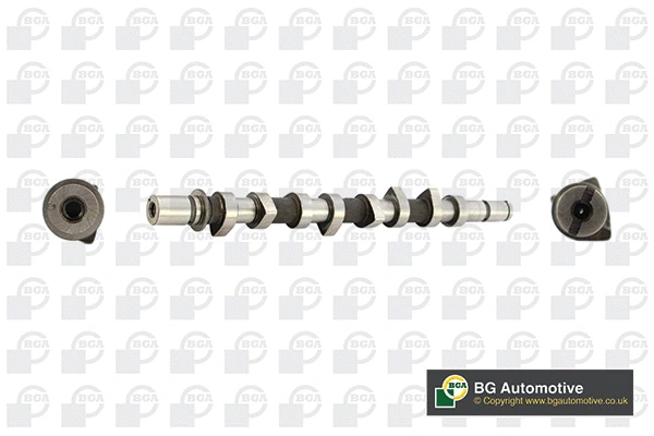 Camshaft (WG1490454)