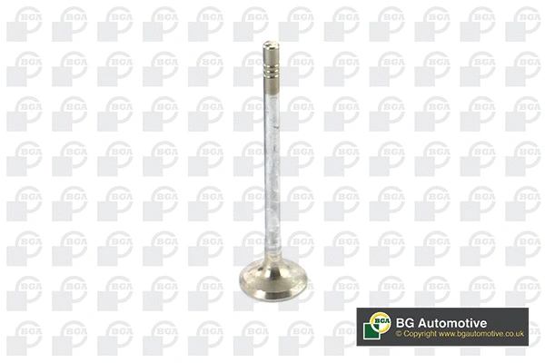 Exhaust Valve (WG1814450)