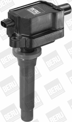 Ignition Coil (WG1487467)