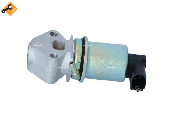 EGR Valve (WG2161818)