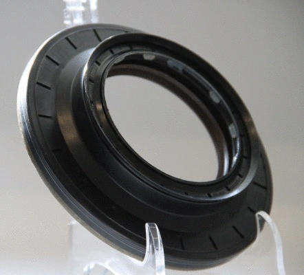 Shaft Seal, differential (WG1220417)