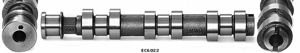 Camshaft (WG1051546)