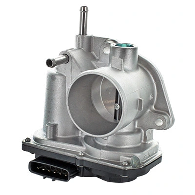 Throttle Body (WG1899295)