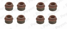 Seal Set, valve stem (WG1177009)