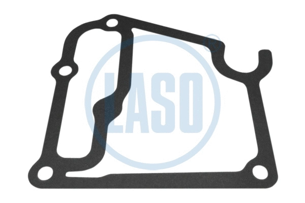 Gasket, water pump (WG1990236)