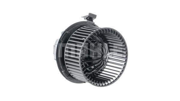 Interior Blower